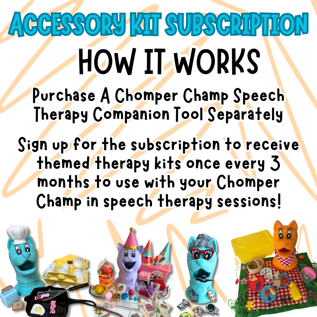 ACCESSORY KIT SUBSCRIPTION BOX