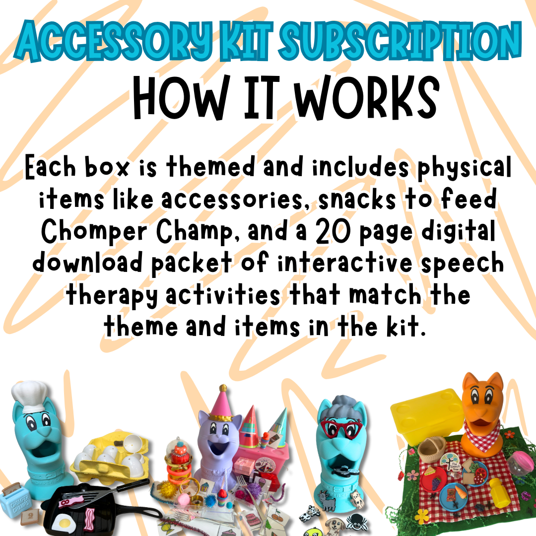 ACCESSORY KIT SUBSCRIPTION BOX