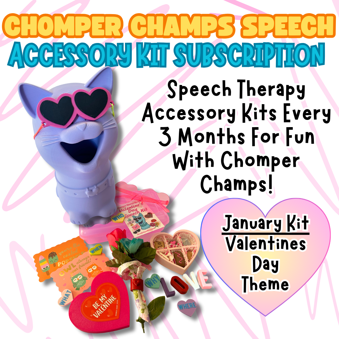 ACCESSORY KIT SUBSCRIPTION BOX